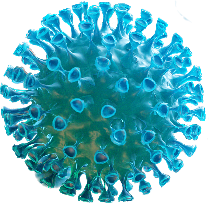 Covid-19 image of virus