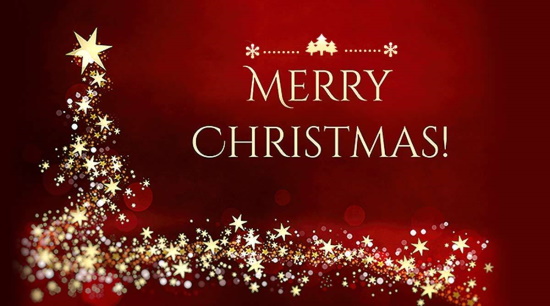 picture of christmas decorations and the message Merry Christmas from Mear Technology